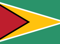 Flag_of_Guyana.svg